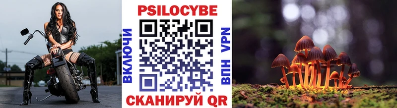 Псилоцибиновые грибы Psilocybe  Нахабино 